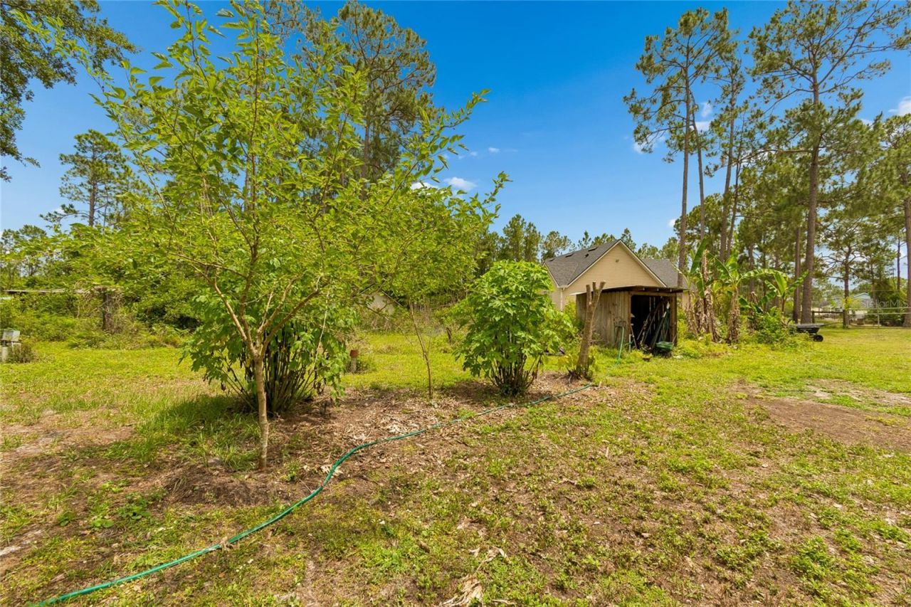 1925 Mustang Court, Saint Cloud, FL 34771 Photo