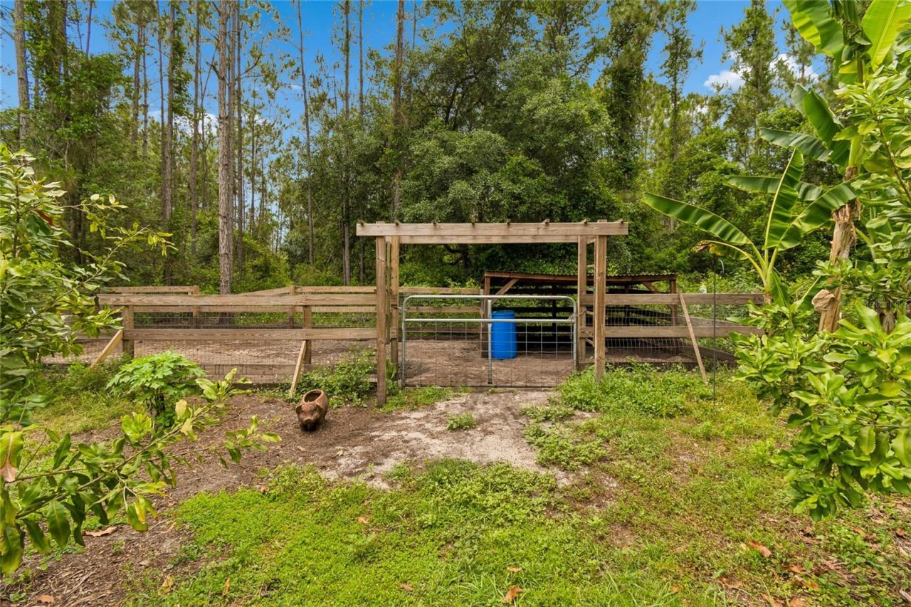 1925 Mustang Court, Saint Cloud, FL 34771 Photo