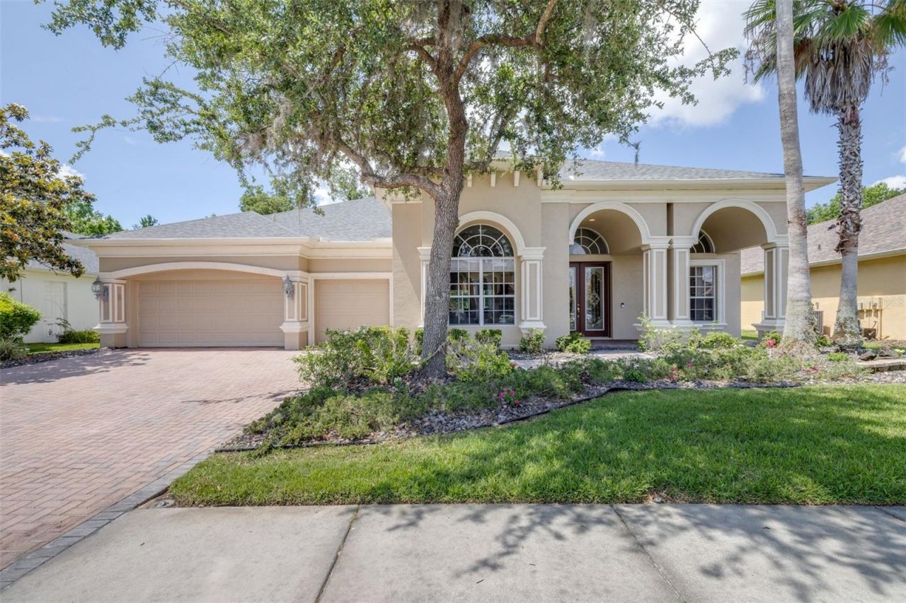 26754 Winged Elm Drive, Wesley Chapel, FL 33544 Main Photo