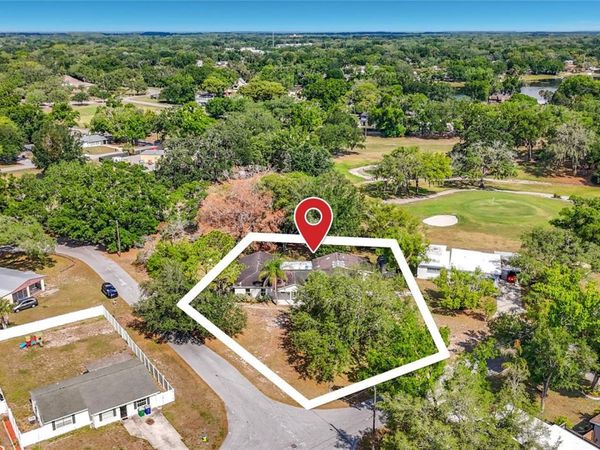 1003 W OUTBOUND PLACE, TAMPA, FL 33612