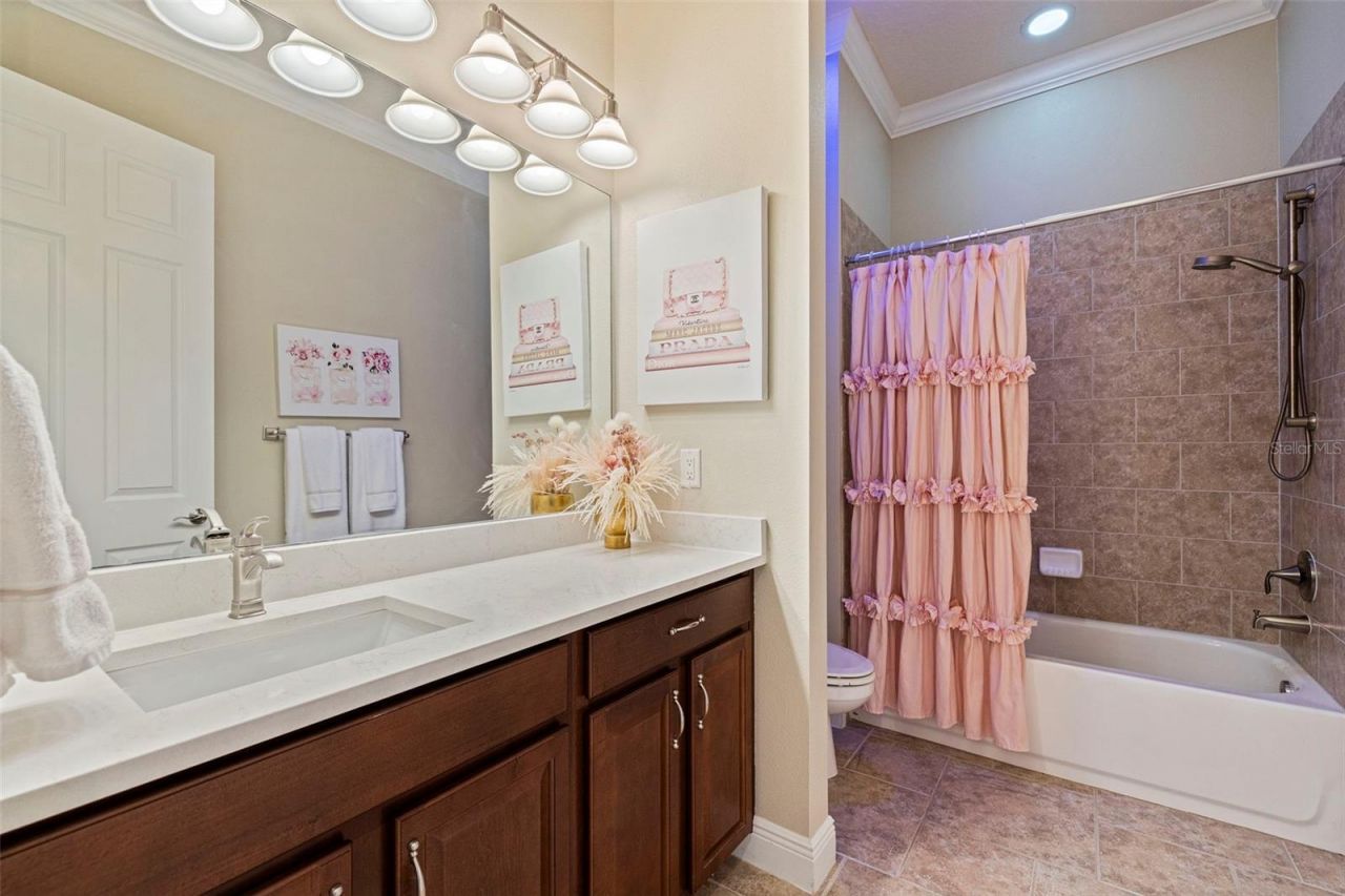 20214 Oak Thorn Way, Tampa, FL 33647 Photo