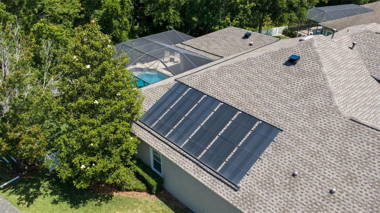 20214 Oak Thorn Way, Tampa, FL 33647 Photo