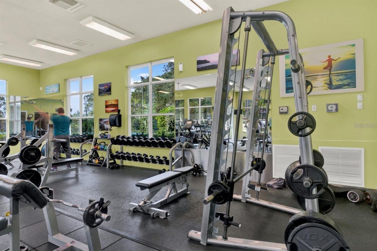20214 Oak Thorn Way, Tampa, FL 33647 Photo