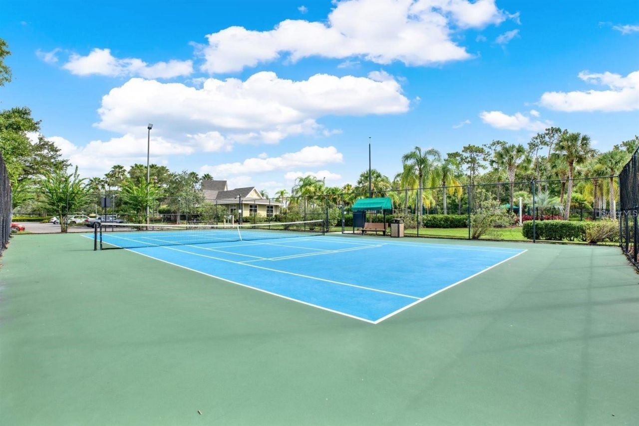 20214 Oak Thorn Way, Tampa, FL 33647 Photo
