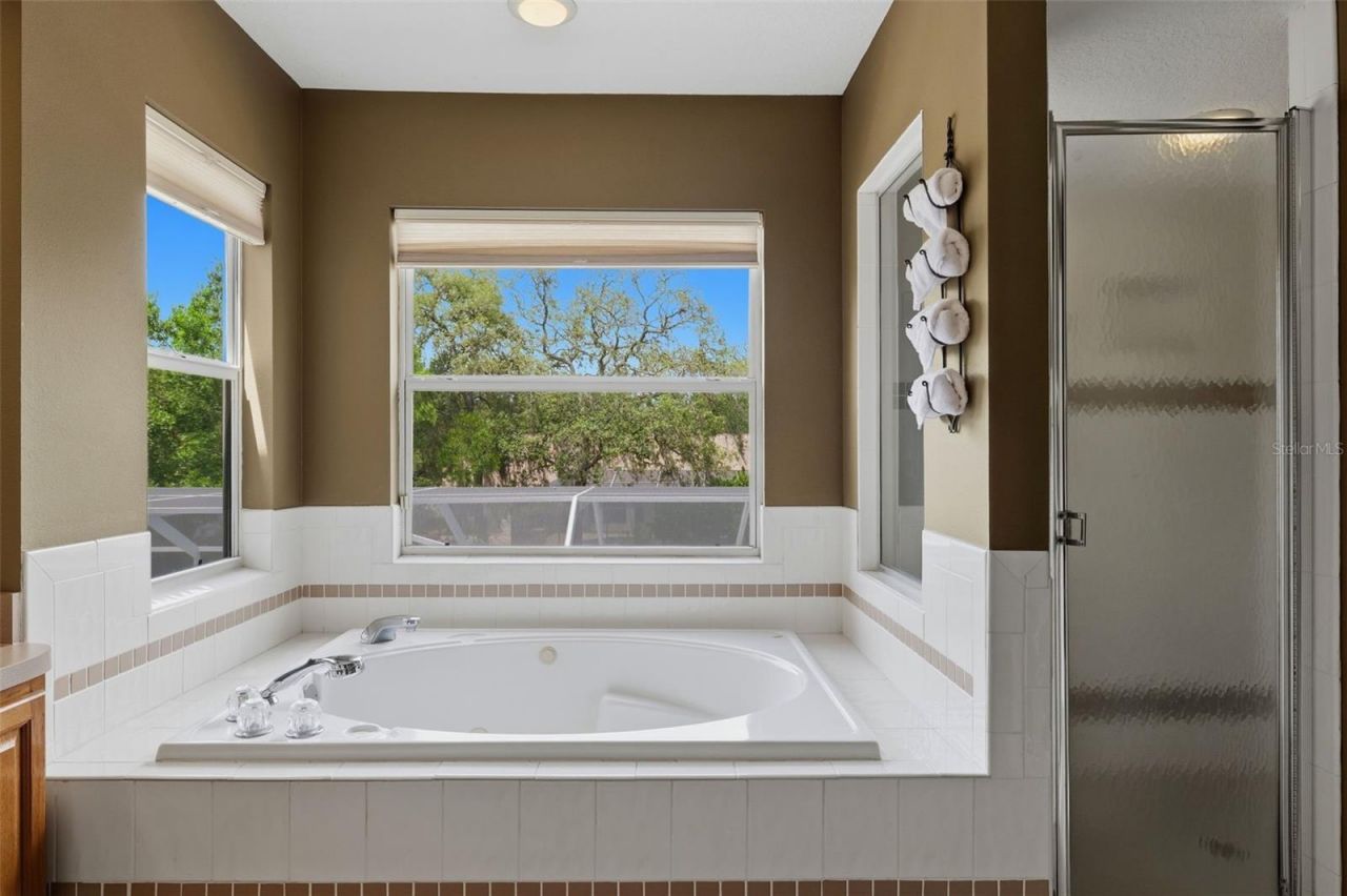 10019 Burbank Court, New Port Richey, FL 34654 Photo