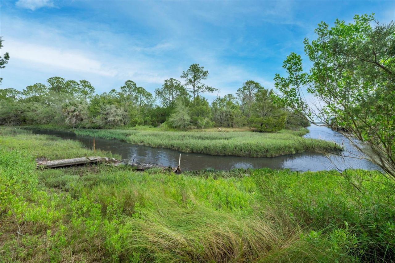 16229 Shellcracker Road, Jacksonville, FL 32226 Photo