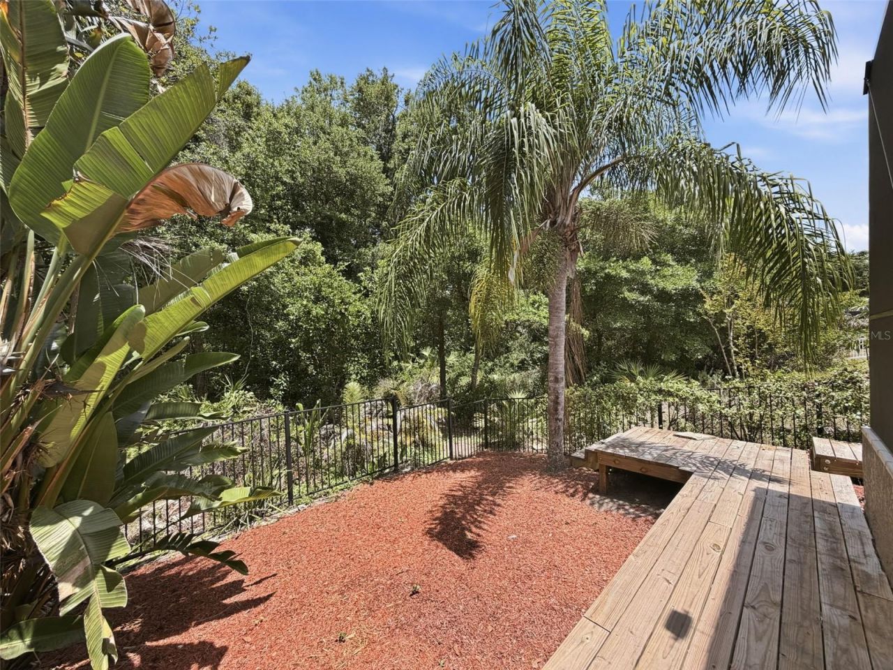 11143 Ragsdale Ct , New Port Richey, FL 34654 Photo