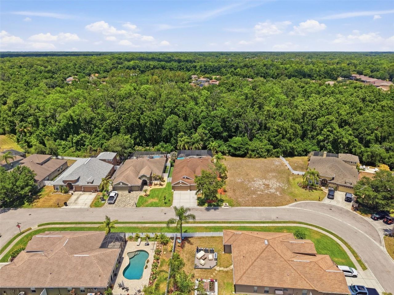 11143 Ragsdale Ct , New Port Richey, FL 34654 Photo