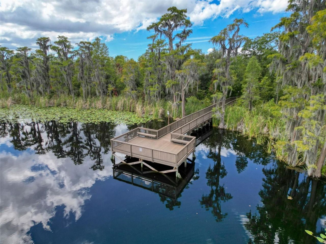 11143 Ragsdale Ct , New Port Richey, FL 34654 Photo