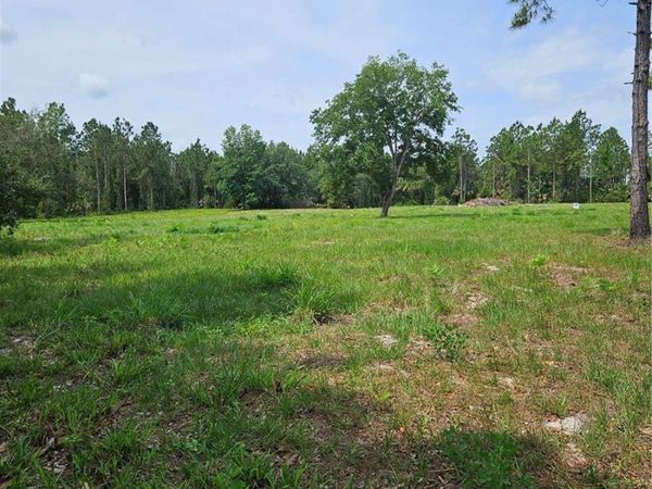 GENEVA WOODS COVE , GENEVA, FL 32732