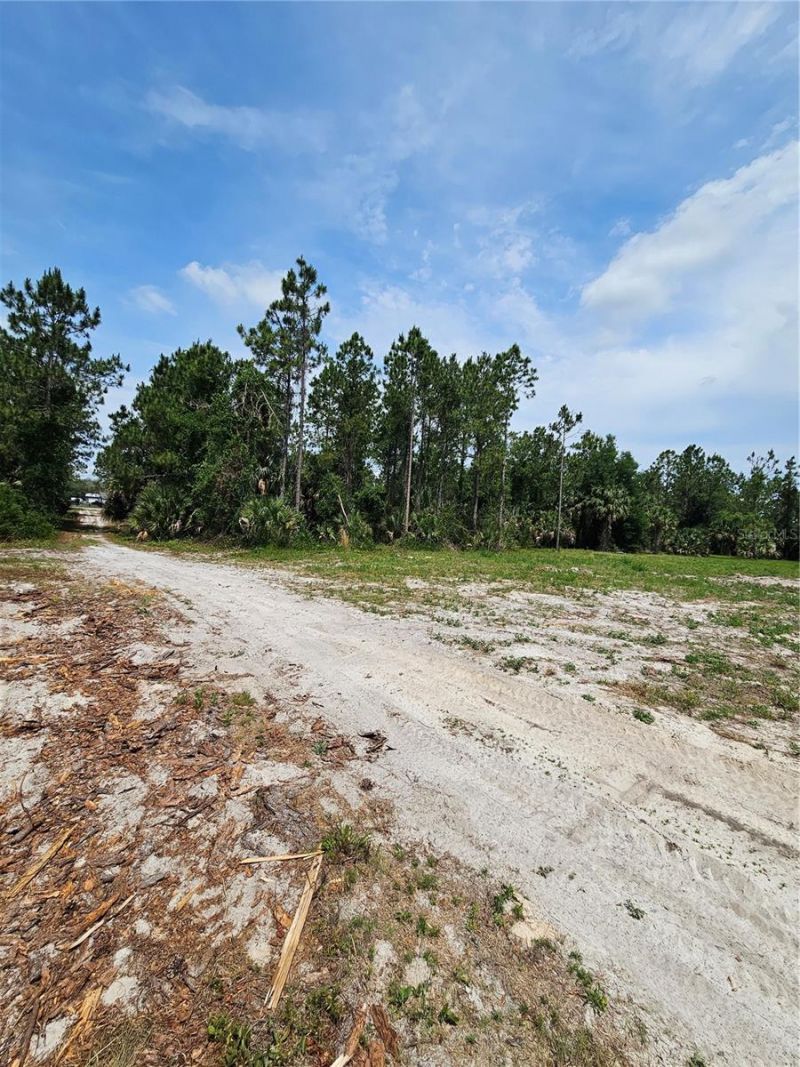 Geneva Woods Cove , Geneva, FL 32732 Photo