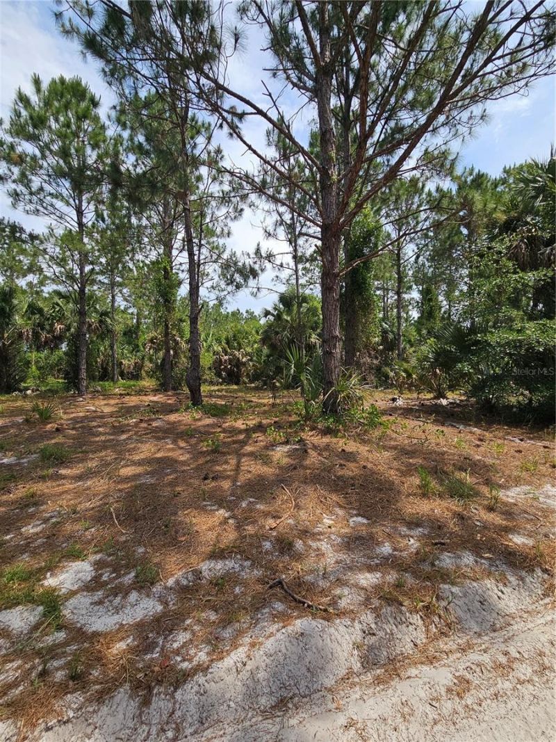 Geneva Woods Cove , Geneva, FL 32732 Photo