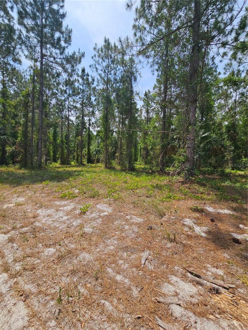 Geneva Woods Cove , Geneva, FL 32732 Photo