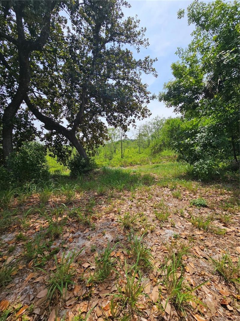 Geneva Woods Cove , Geneva, FL 32732 Photo