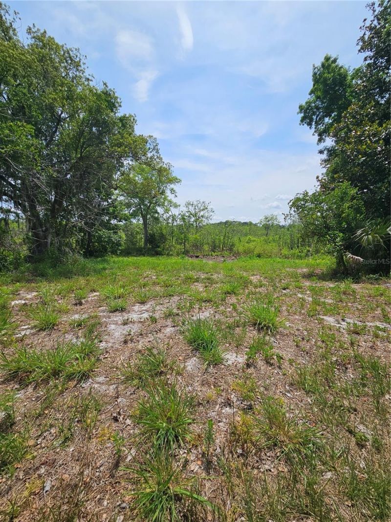 Geneva Woods Cove , Geneva, FL 32732 Photo