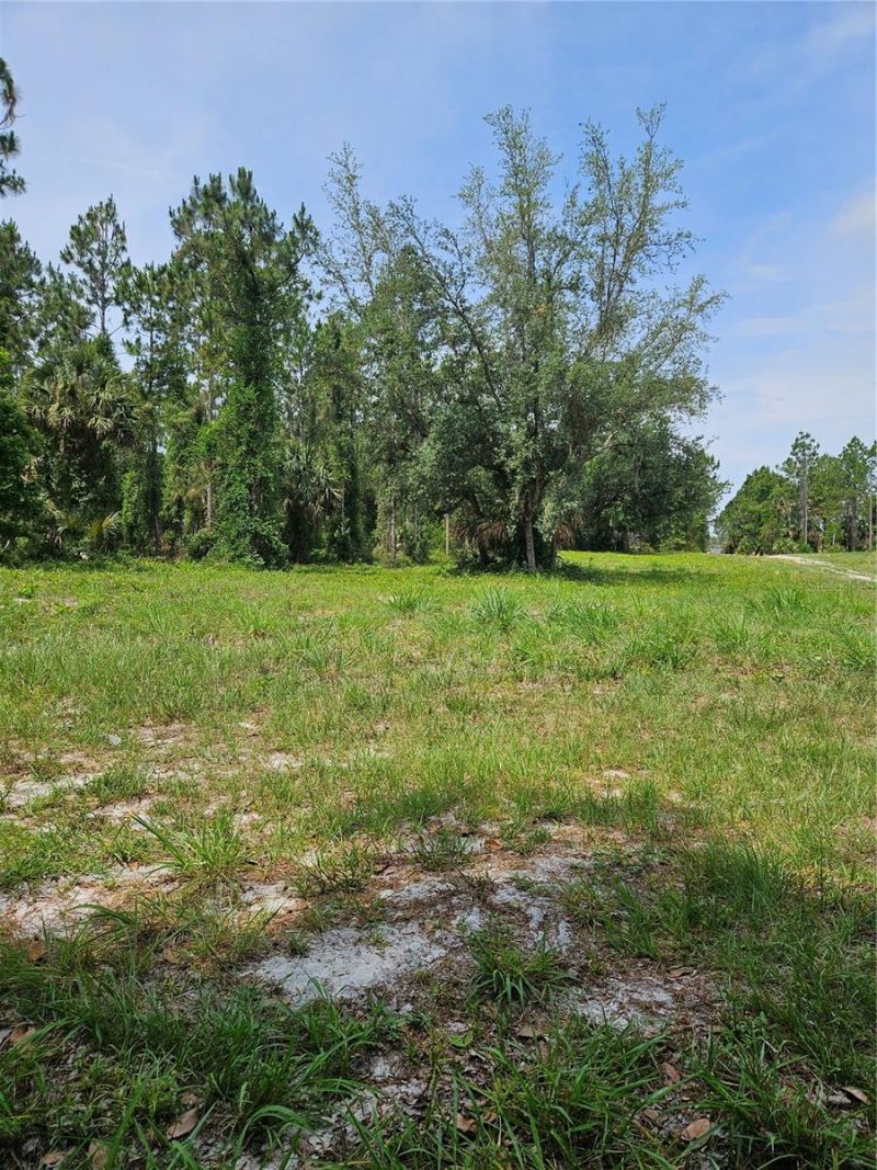 Geneva Woods Cove , Geneva, FL 32732 Photo