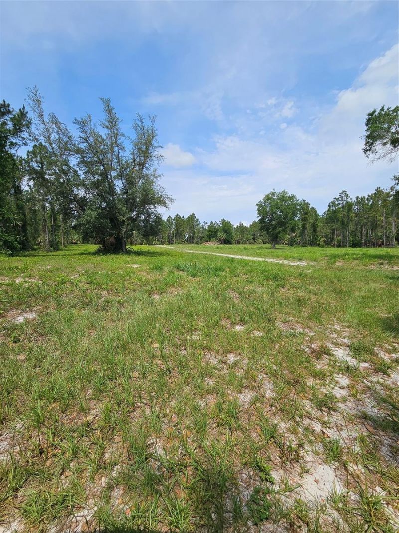 Geneva Woods Cove , Geneva, FL 32732 Photo