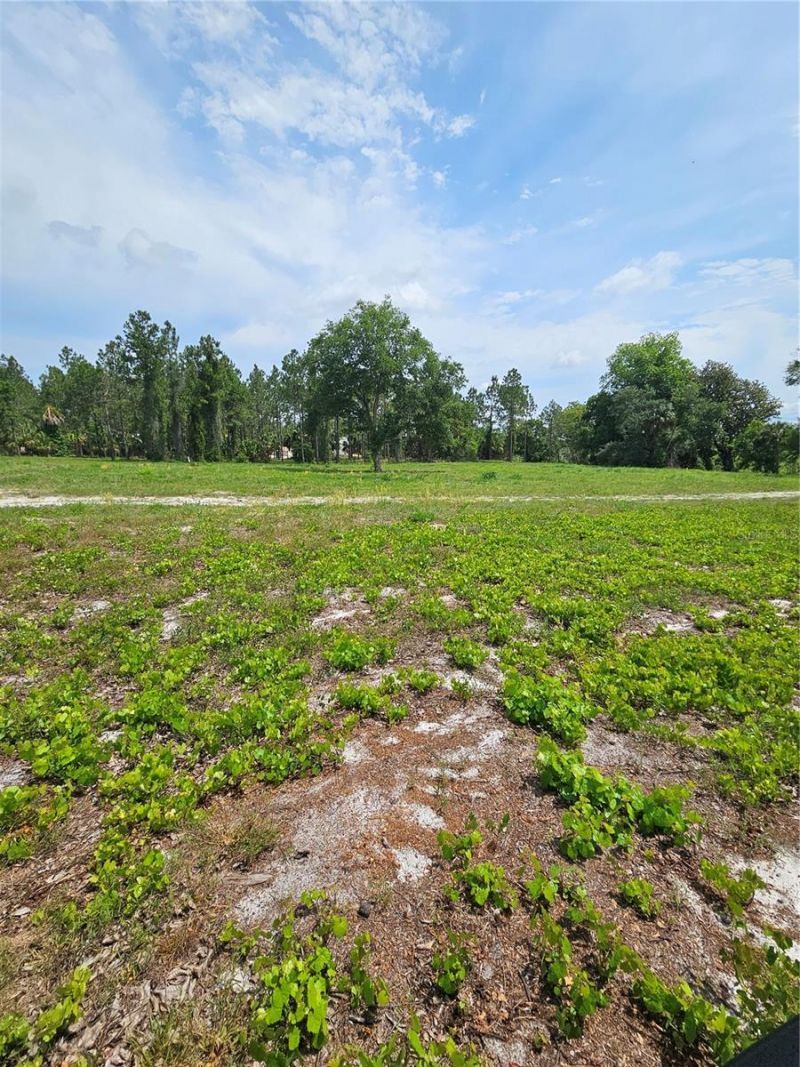 Geneva Woods Cove , Geneva, FL 32732 Photo