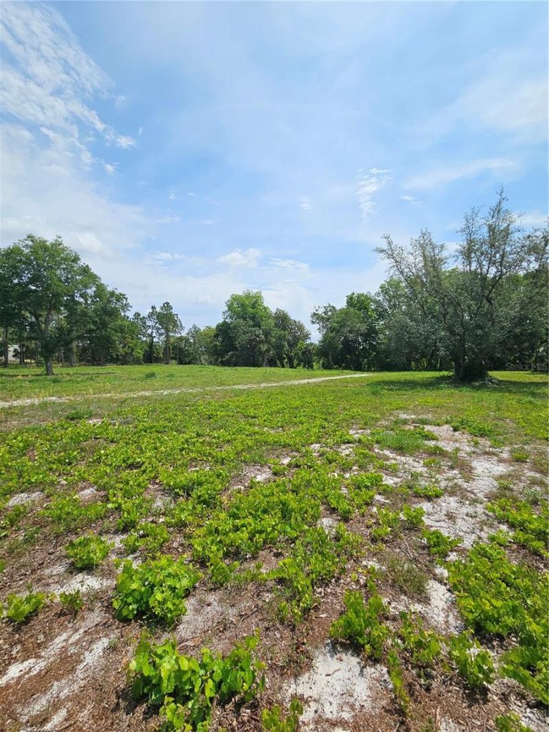 Geneva Woods Cove , Geneva, FL 32732 Photo