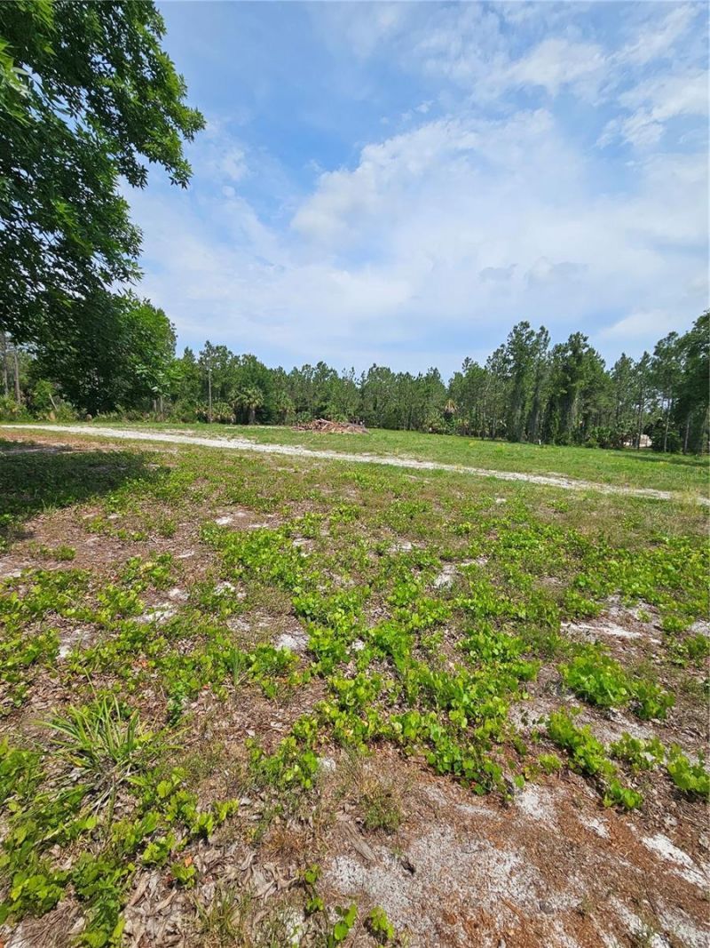 Geneva Woods Cove , Geneva, FL 32732 Photo