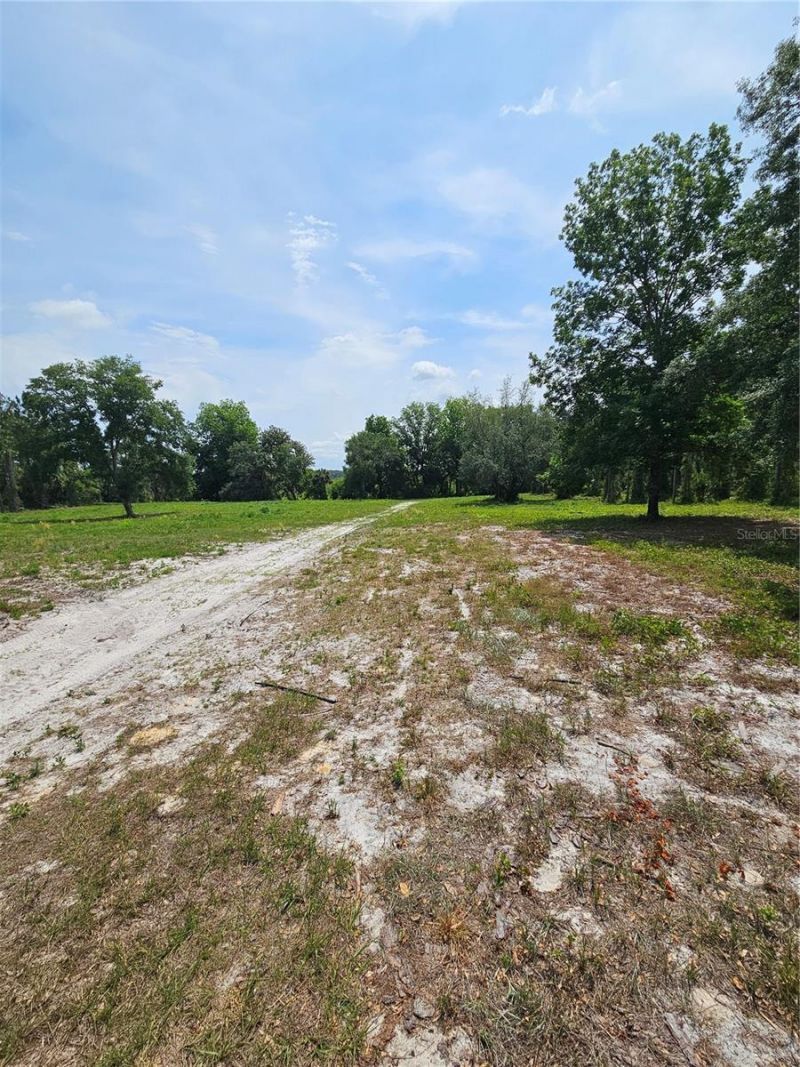 Geneva Woods Cove , Geneva, FL 32732 Photo