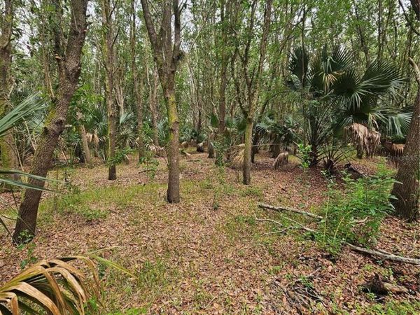 601 HOWARD AVENUE , OVIEDO, FL 32765