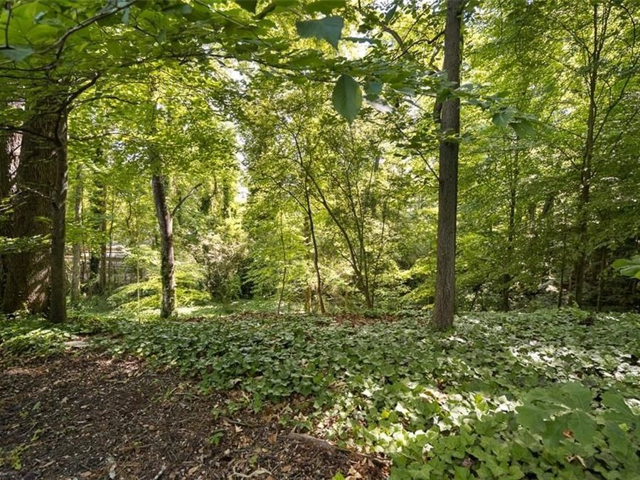 Property Image 60