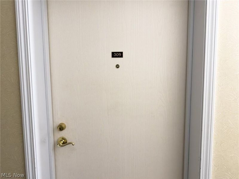 2885 Pease Drive, Unit 309, Rocky River, OH 44116 Photo 2