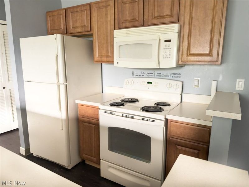 2885 Pease Drive, Unit 309, Rocky River, OH 44116 Photo 9
