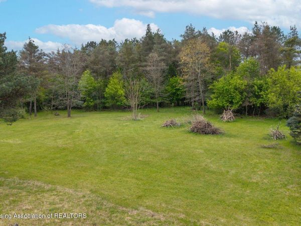 15131 S Jones Road, Eagle, MI 48822