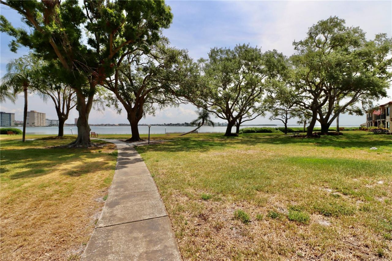 6219 Palma Del Mar Boulevard S, Unit 504, Saint Petersburg, FL 33715 Photo