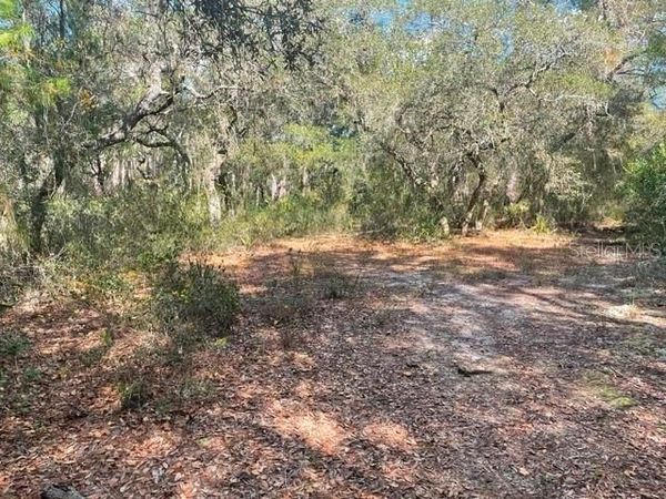 9345 SE 195TH AVENUE , OCKLAWAHA, FL 32179