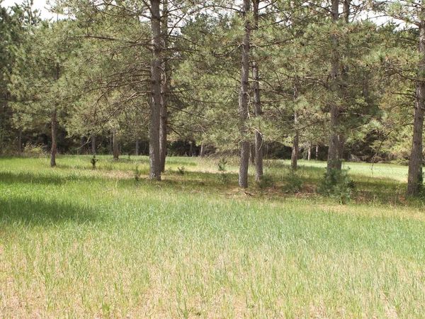 8TH ROAD, Westfield, WI 53964