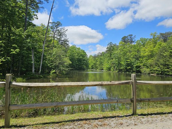 6 Beechwood Trail, Gruetli Laager, TN 37339