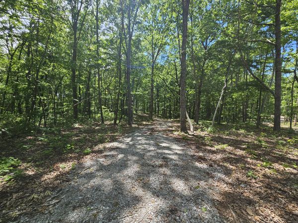 15 Valley View Drive, Gruetli Laager, TN 37339