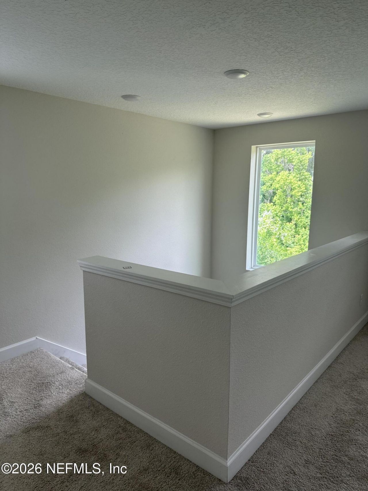 11561 Admirals Cove Drive, Jacksonville, FL 32221 Photo