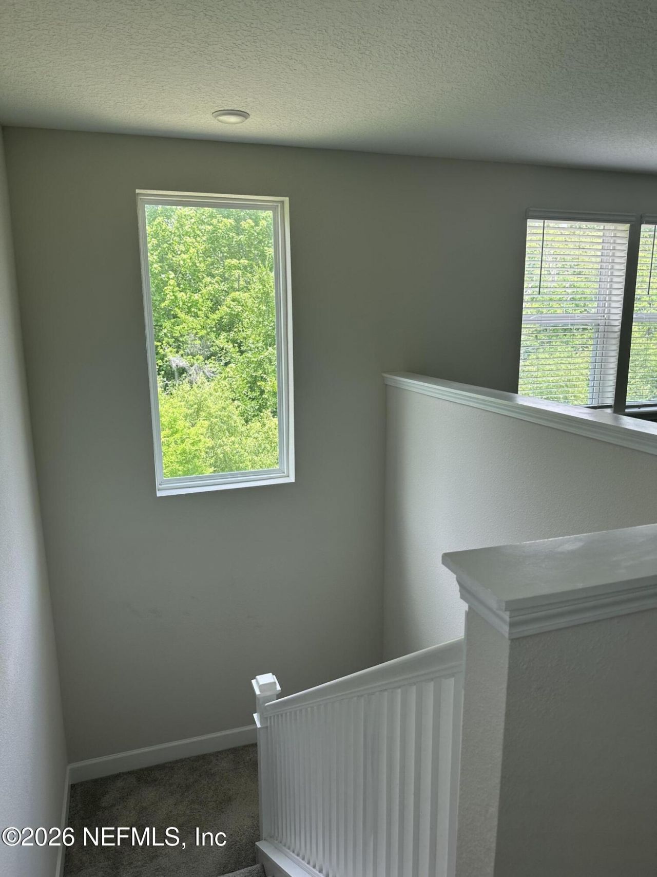 11561 Admirals Cove Drive, Jacksonville, FL 32221 Photo