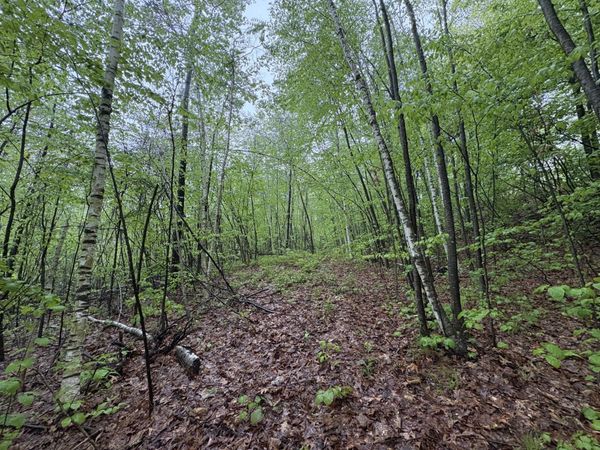 TBD Lower Road, Deerfield, MA 01342
