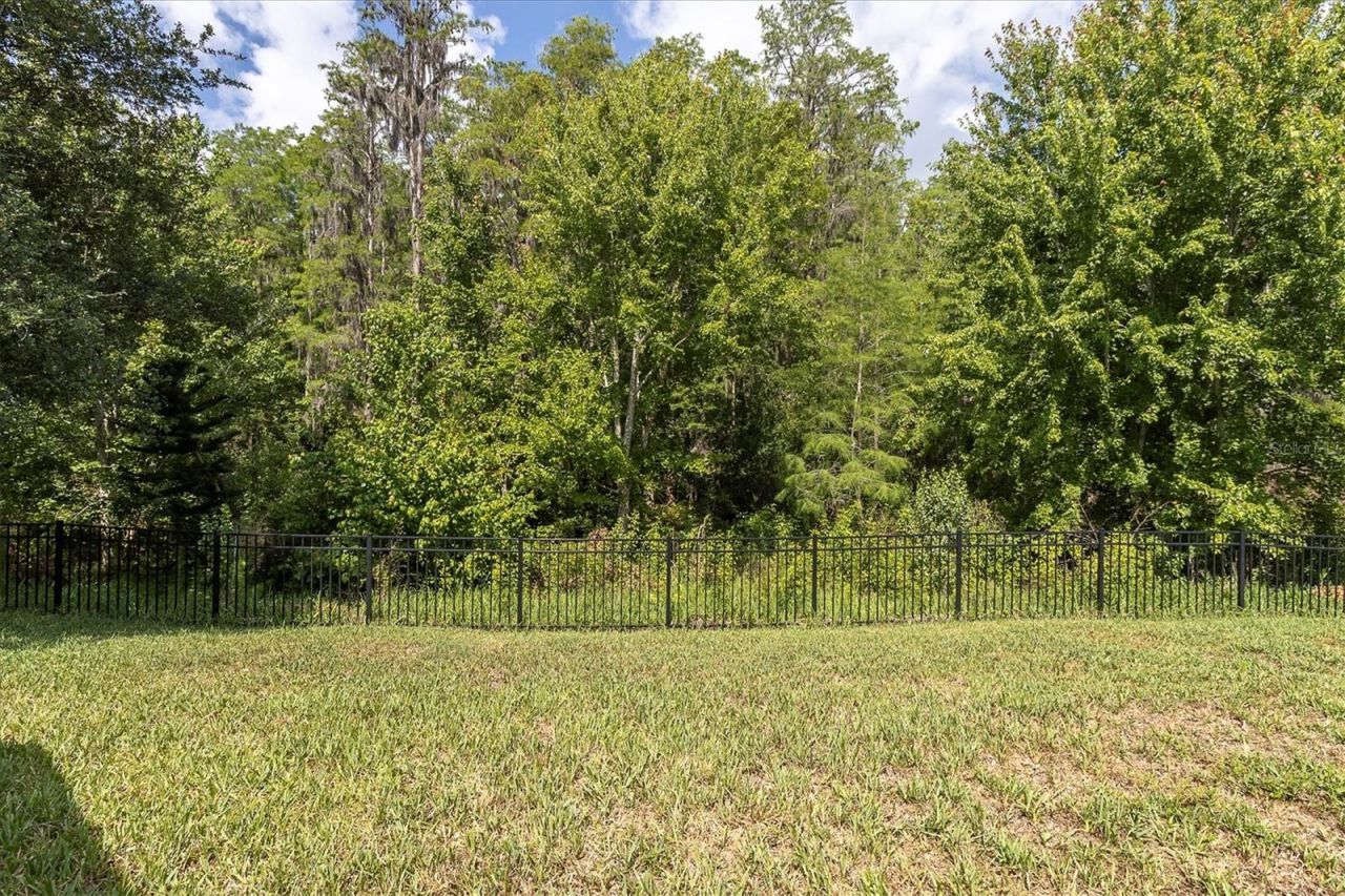 14640 Trails Edge Boulevard, Odessa, FL 33556 Photo