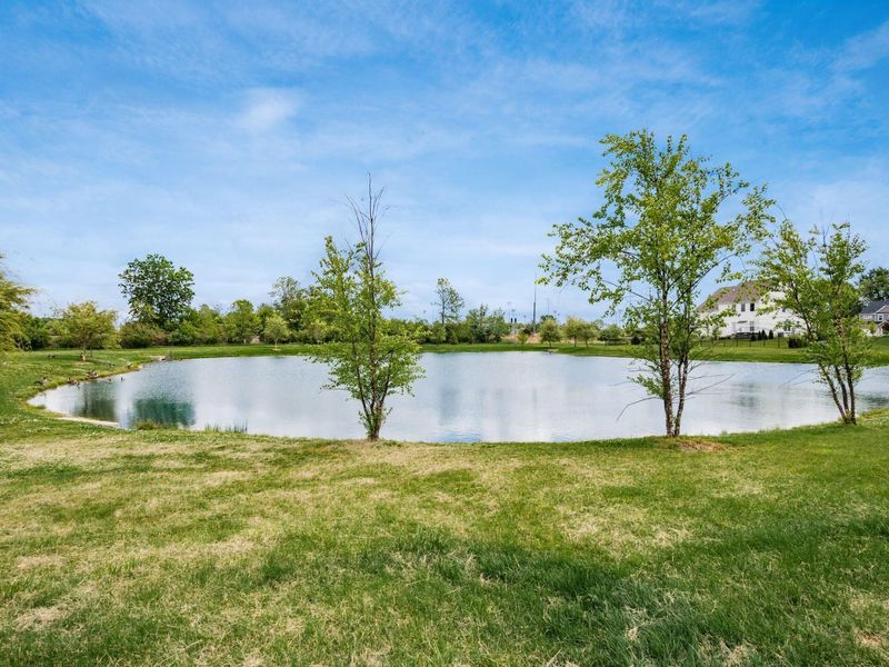 5569 Hibbing Lane, Lewis Center, OH 43035 Photo 69
