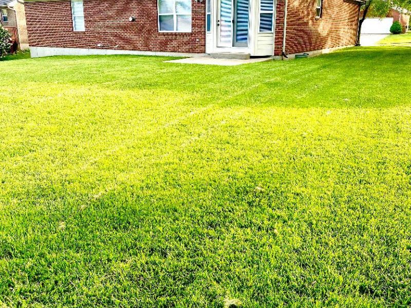7607 Cloudstone Drive, Florence, KY 41042 Photo 2
