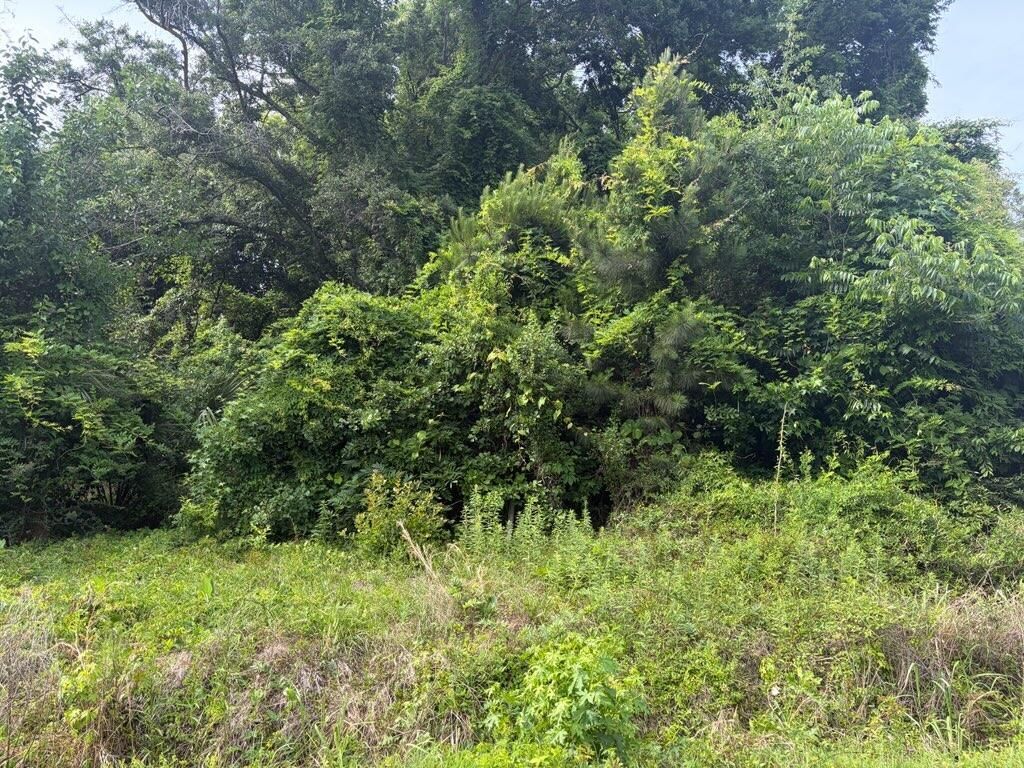 1538 Evergreen Street Photo 2