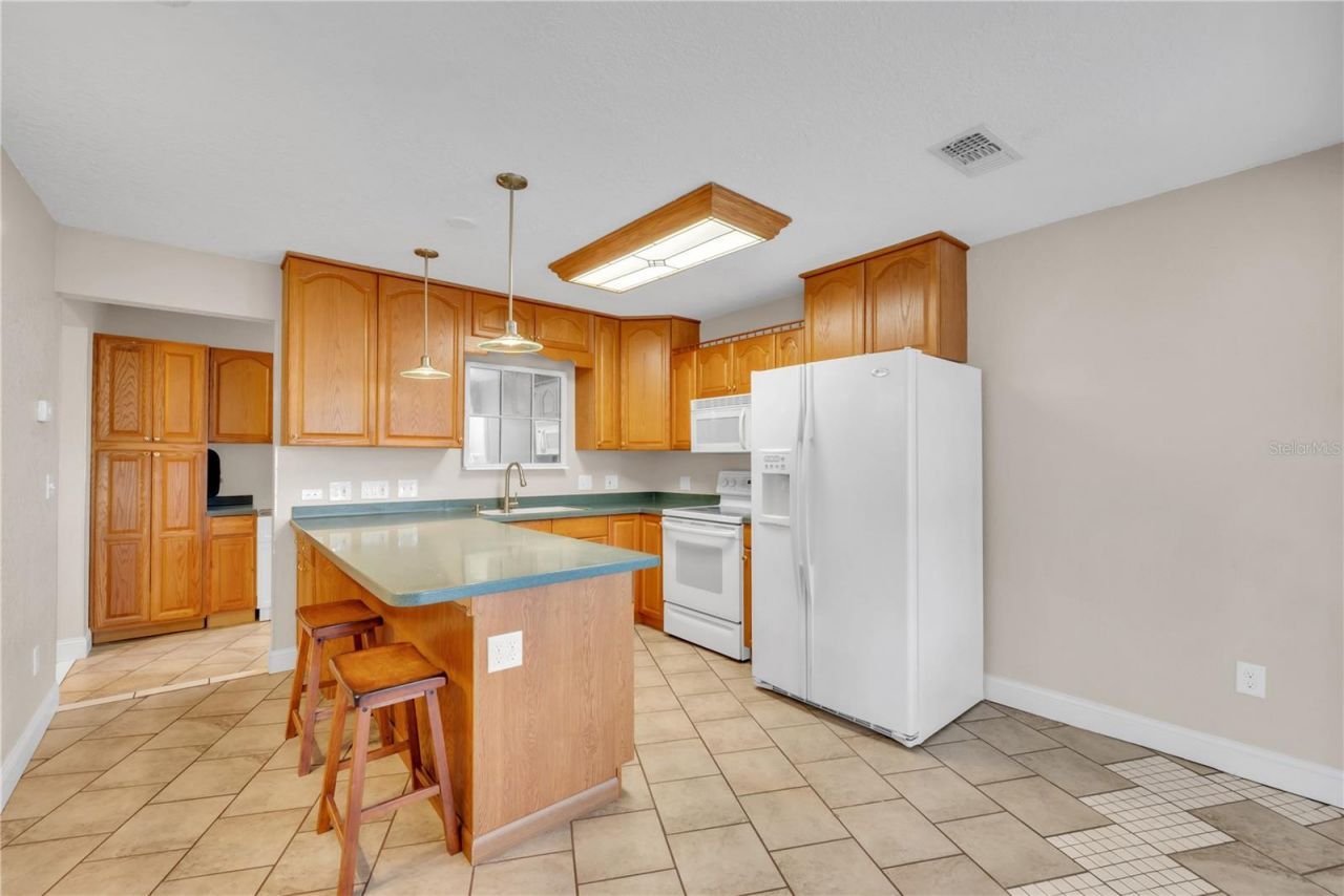 1201 E Norfolk Street, Tampa, FL 33604 Photo