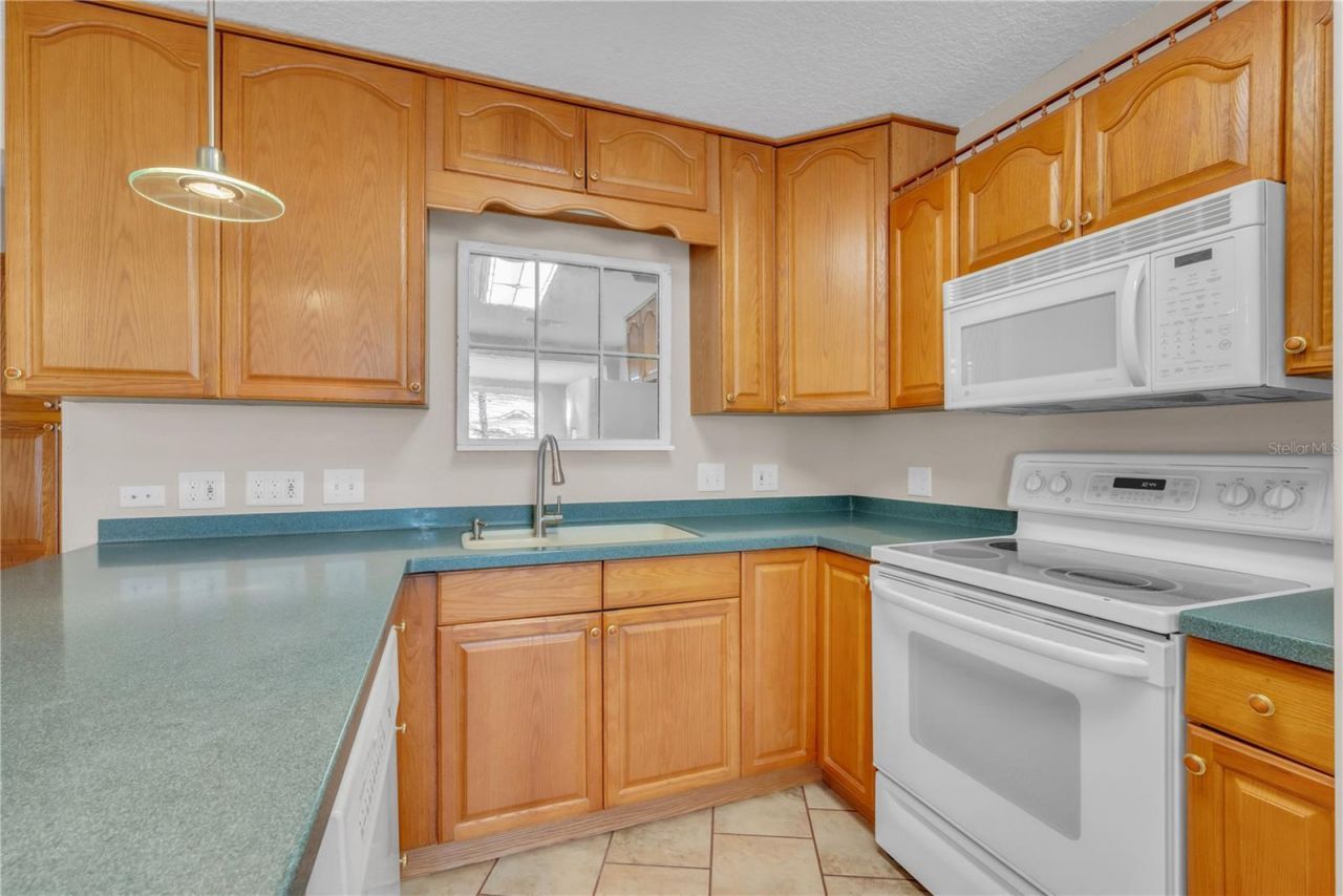1201 E Norfolk Street, Tampa, FL 33604 Photo