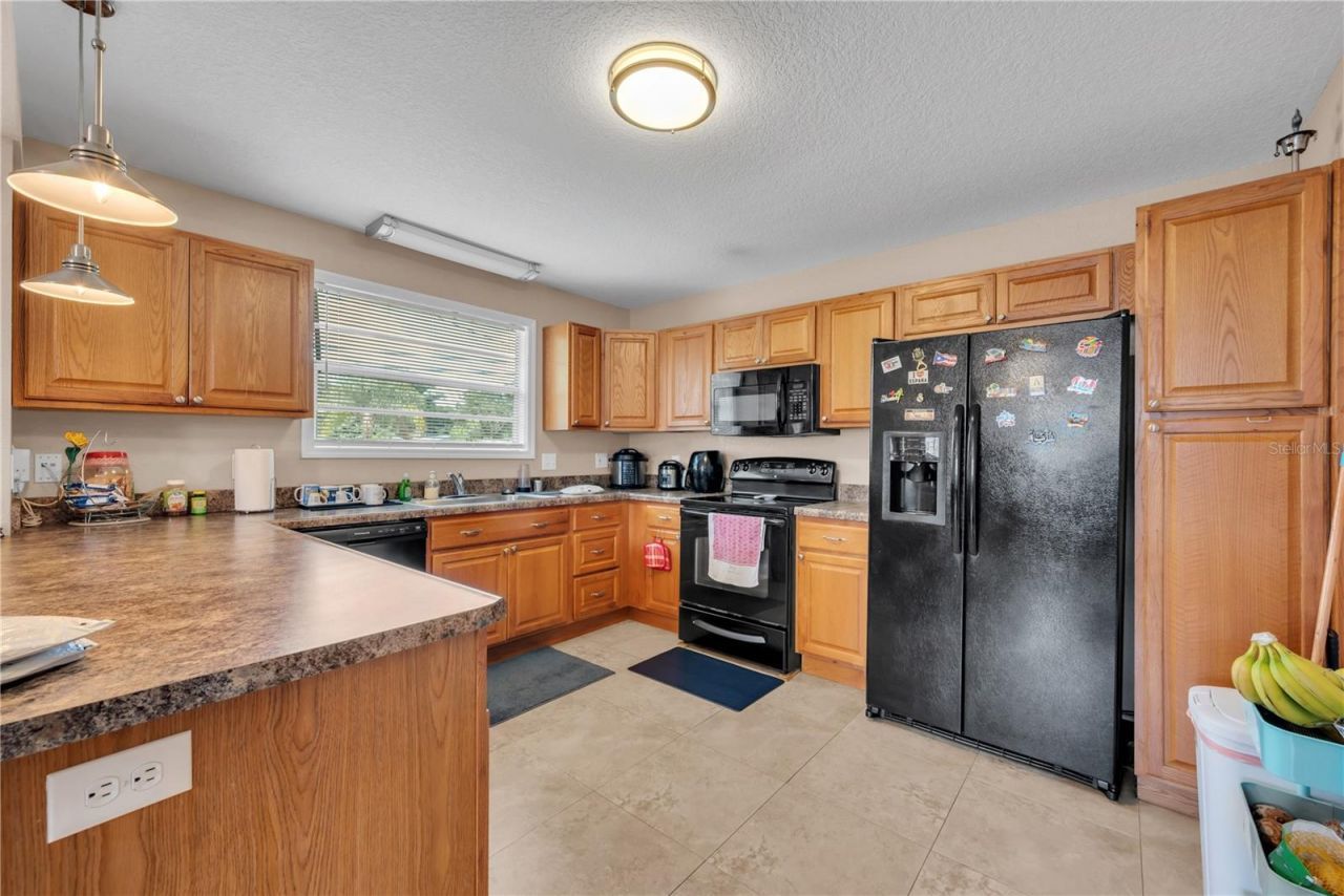 1201 E Norfolk Street, Tampa, FL 33604 Photo