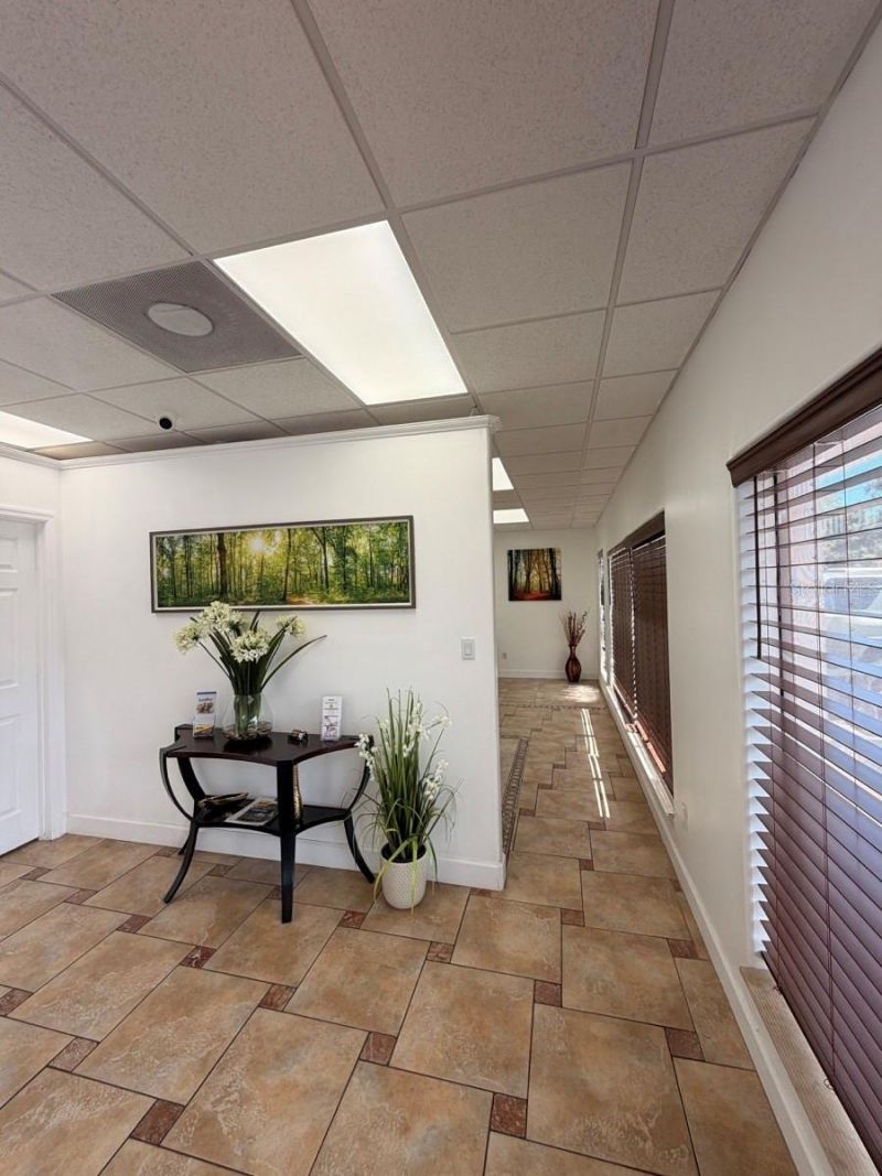 7117 N Armenia Avenue , Tampa, FL 33604 Photo