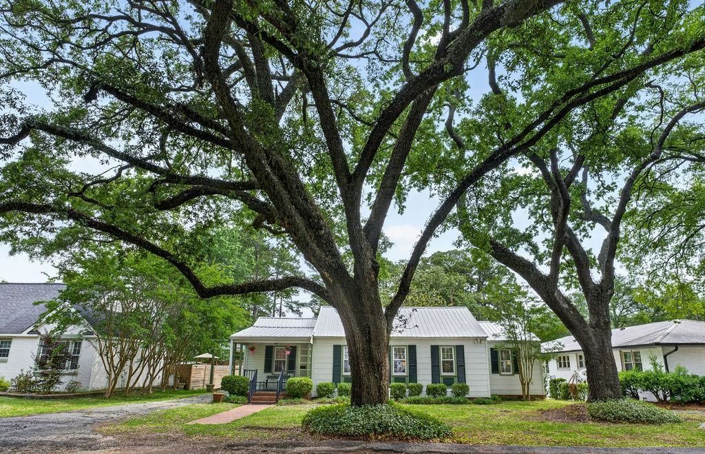 926 Palmetto St. Photo 47