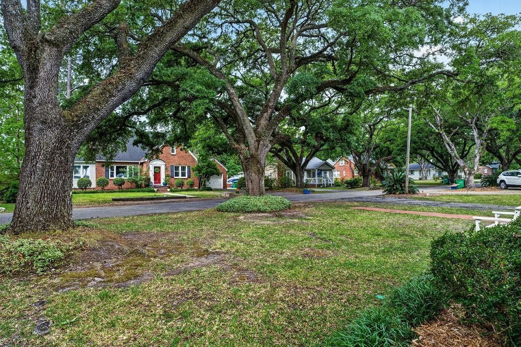 926 Palmetto St. Photo 49