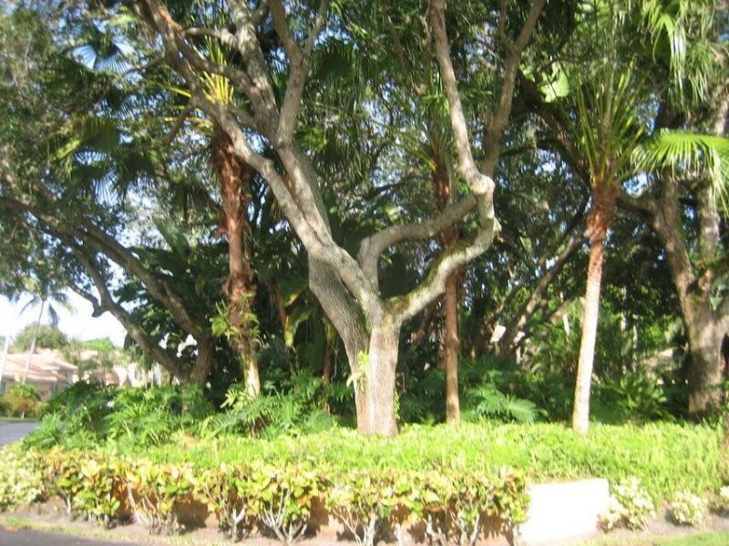 17256 Boca Club Boulevard, Unit 1401, Boca Raton, FL 33487 Photo