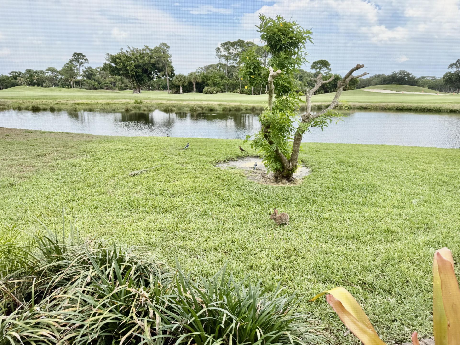 413 SW Fairway Landing, Port Saint Lucie, FL 34986 Photo